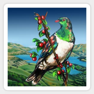 Kereru of Aotearoa, New Zealand Sticker